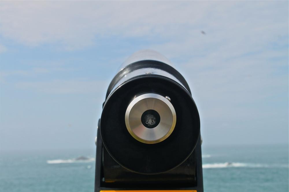 BNY Mellon: January FOMC Preview: Is Patience a Virtue