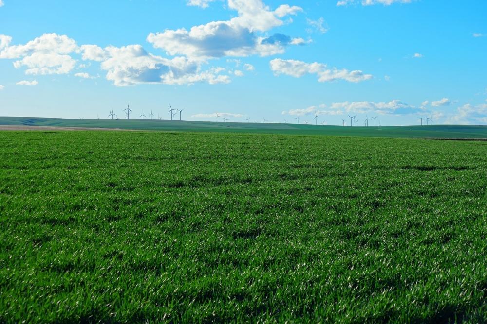 CPR AM and CDP launch climate fund
